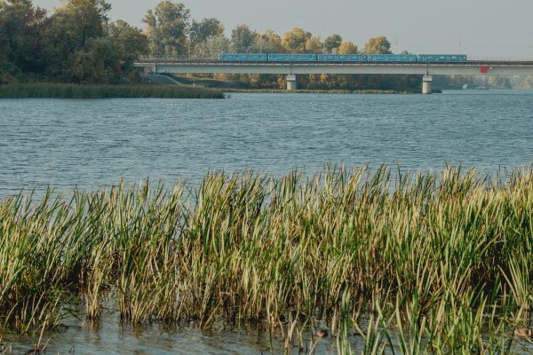 Екологія України: екосистеми, навантаження та способи відновлення
